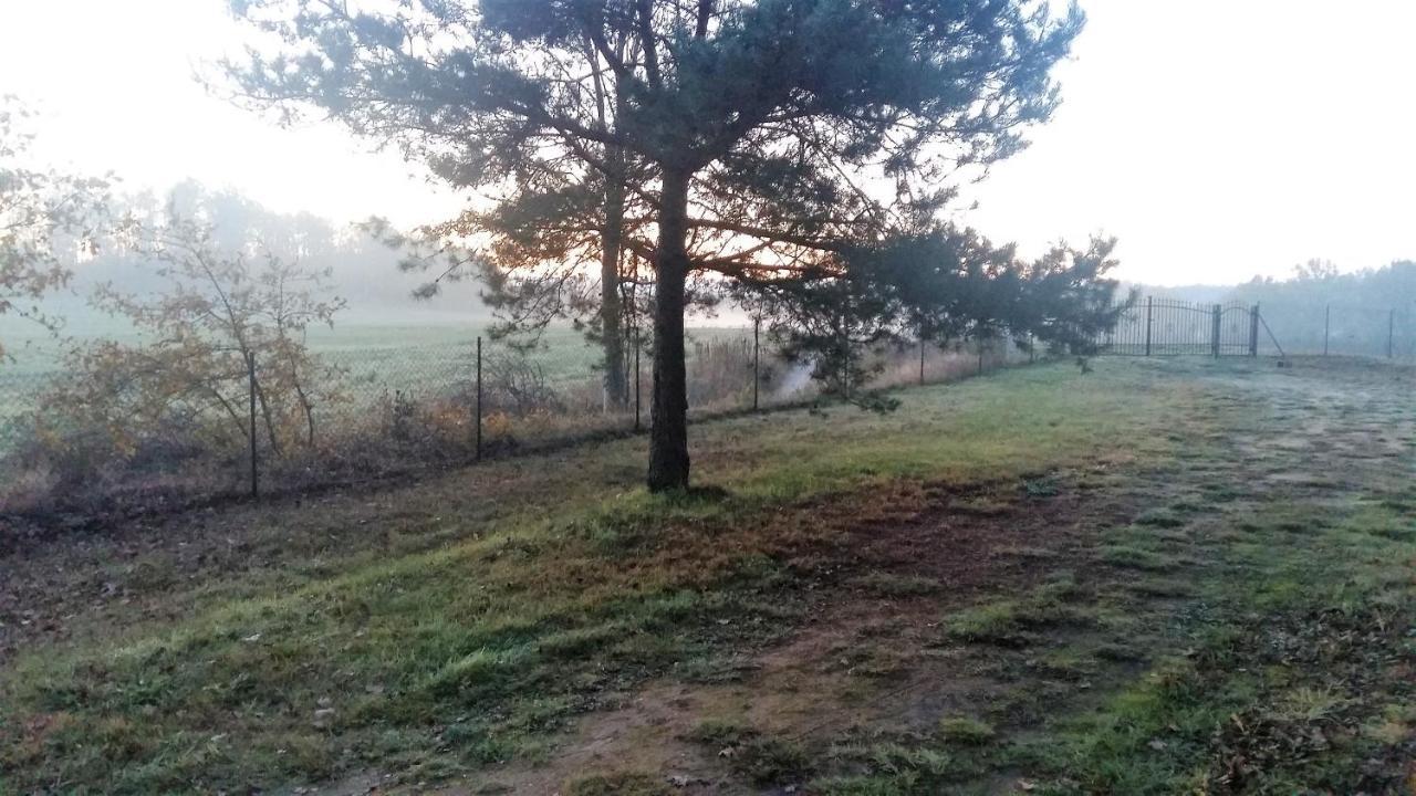 Willa Kraniec Swiata - Tylko Dla Ciebie - Zachwyca Krajobrazem, Regeneruje Cisza I Komfortem Boleslawiec  Buitenkant foto